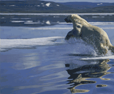 3764a.gif